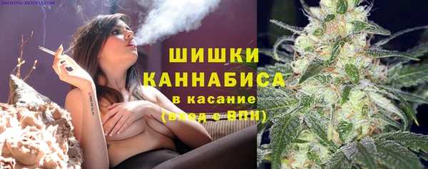 гашик Дмитров
