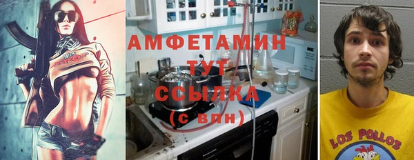 гашик Дмитров
